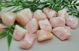 Rose Quartz Tumbled Stones