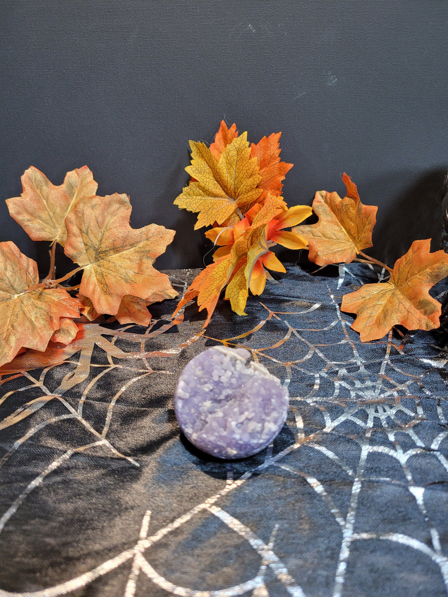 13763 October 16th 2024 Live Silver Cove Ltd Online