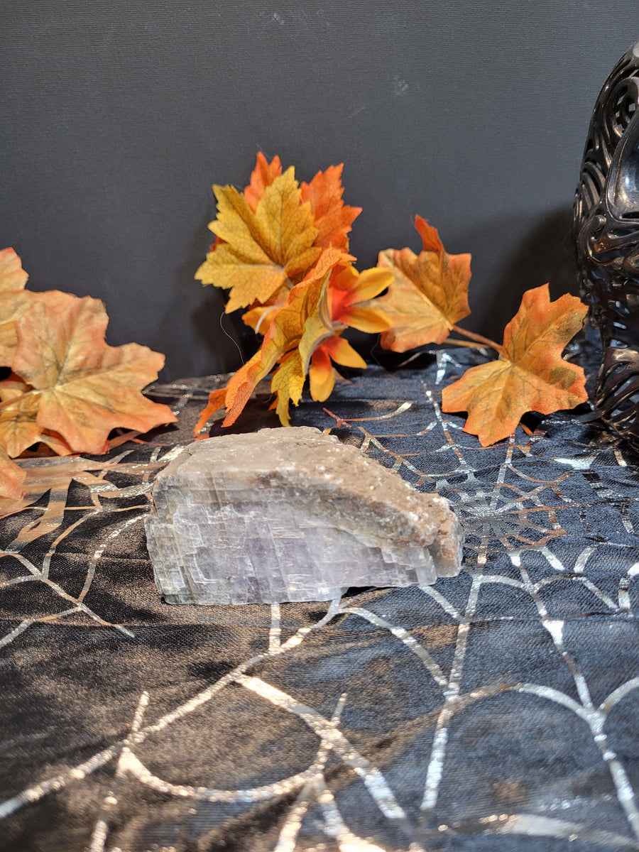 16697 October 16th 2024 Live Silver Cove Ltd Online