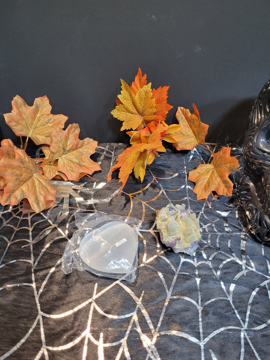 11165 October 16th 2024 Live Silver Cove Ltd Online