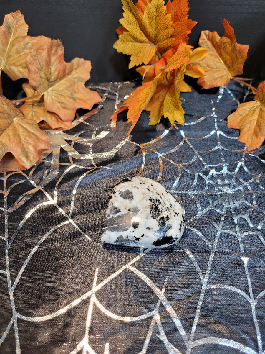 10997 October 16th 2024 Live Silver Cove Ltd Online