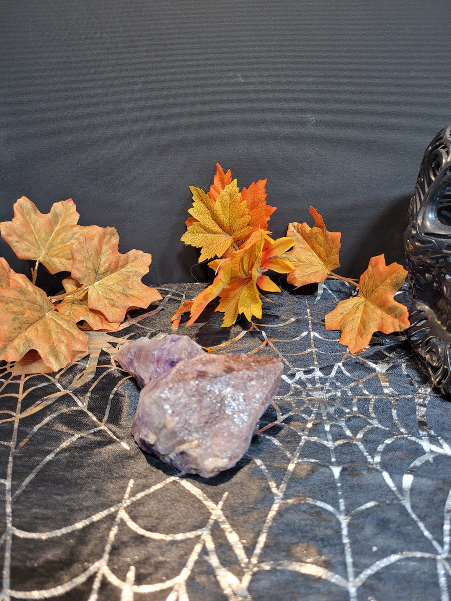 bris_trees October 16th 2024 Live Silver Cove Ltd Online