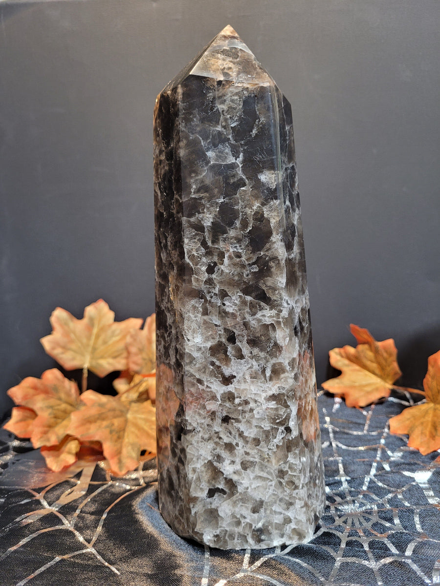 15254 October 17th 2024 Live Silver Cove Ltd Online