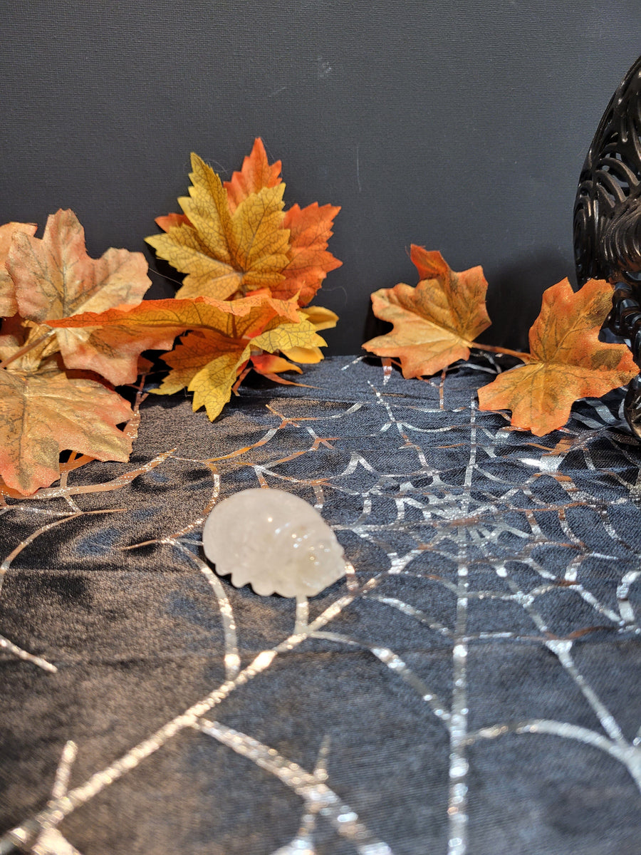 16346 October 17th 2024 Live Silver Cove Ltd Online