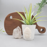 Charcuterie Board Wood Carving