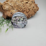 Sea Shell Trinket Box