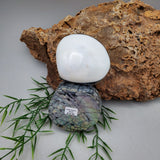 Sea Shell Trinket Box