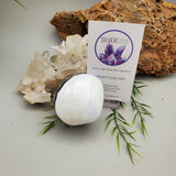 Sea Shell Trinket Box