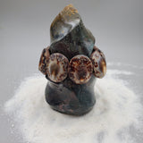 Tiger Cowrie Shell Bracelet