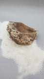 Agatized Fossil Coral