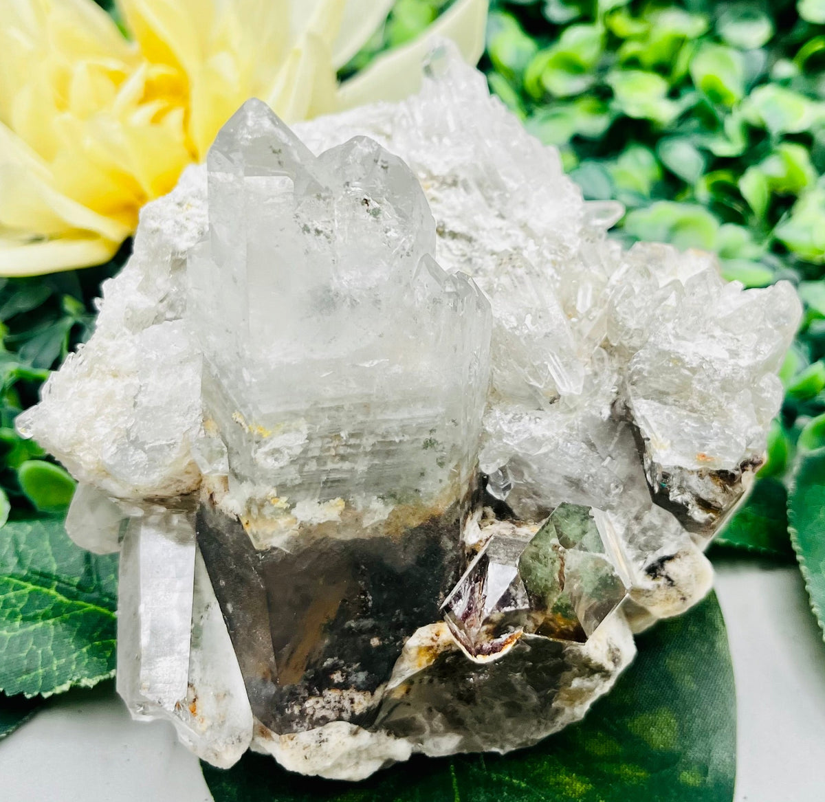 Garden Quartz Specimen – Silver Cove Ltd