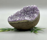 Amethyst Egg