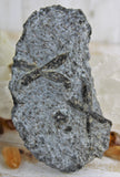 Staurolite - Fairy Cross Specimen