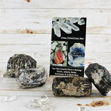 Dravite (Brown Tourmaline) Crystal