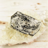 Dravite (Brown Tourmaline) Crystal