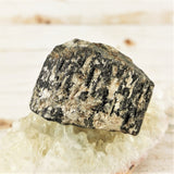 Dravite (Brown Tourmaline) Crystal