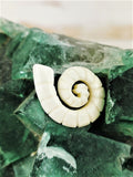 Carved Bone Ammonites