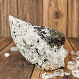 B.C. Garnet in Matrix Specimen