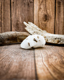 Siderite & Cryolite Specimen