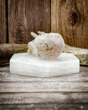 Super Seven Specimen (53g)