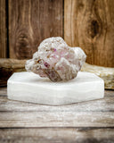 Super Seven Specimen (50.4g)