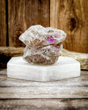 Super Seven Specimen (50.4g)