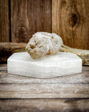 Super Seven Specimen (56g)