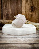 Super Seven Specimen (20g)