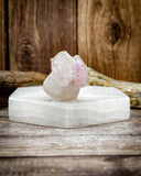 Super Seven Specimen (20g)