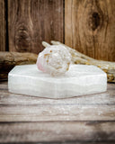 Super Seven Specimen (20g)