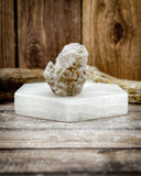 Super Seven Specimen, 41g