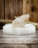 Super Seven Specimen (27g)