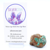 Turquoise Specimen Small