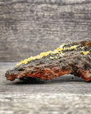 Wulfenite Specimen, 107g