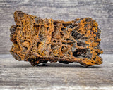 Wulfenite Specimen, 60g