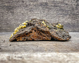 Wulfenite Specimen, 60g