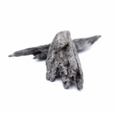 Black Kyanite Witches Broom Specimens