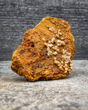 Wulfenite Specimen, 44g