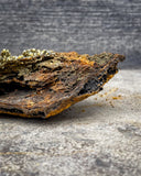 Wulfenite Specimen, 191g