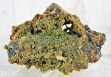 Wulfenite Specimens in Matrix