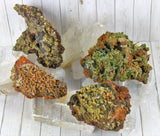 Wulfenite Specimens in Matrix