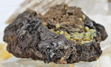 Wulfenite Specimens in Matrix