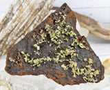 Wulfenite Specimens in Matrix