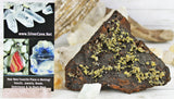 Wulfenite Specimens in Matrix