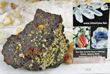 Wulfenite Specimens in Matrix