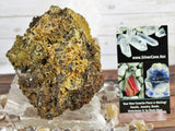 Wulfenite Specimens in Matrix