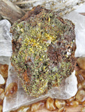 Wulfenite Specimens in Matrix
