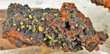 Wulfenite Specimens in Matrix