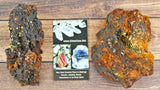 Wulfenite Specimens in Matrix