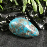 Tumbled Natural Turquoise (1 pc)